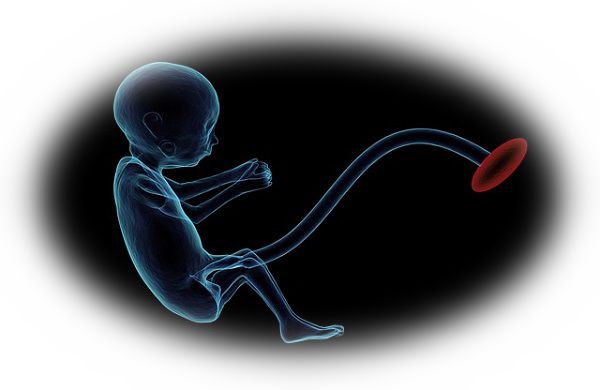 妊娠中の胎動の様子を見る夢